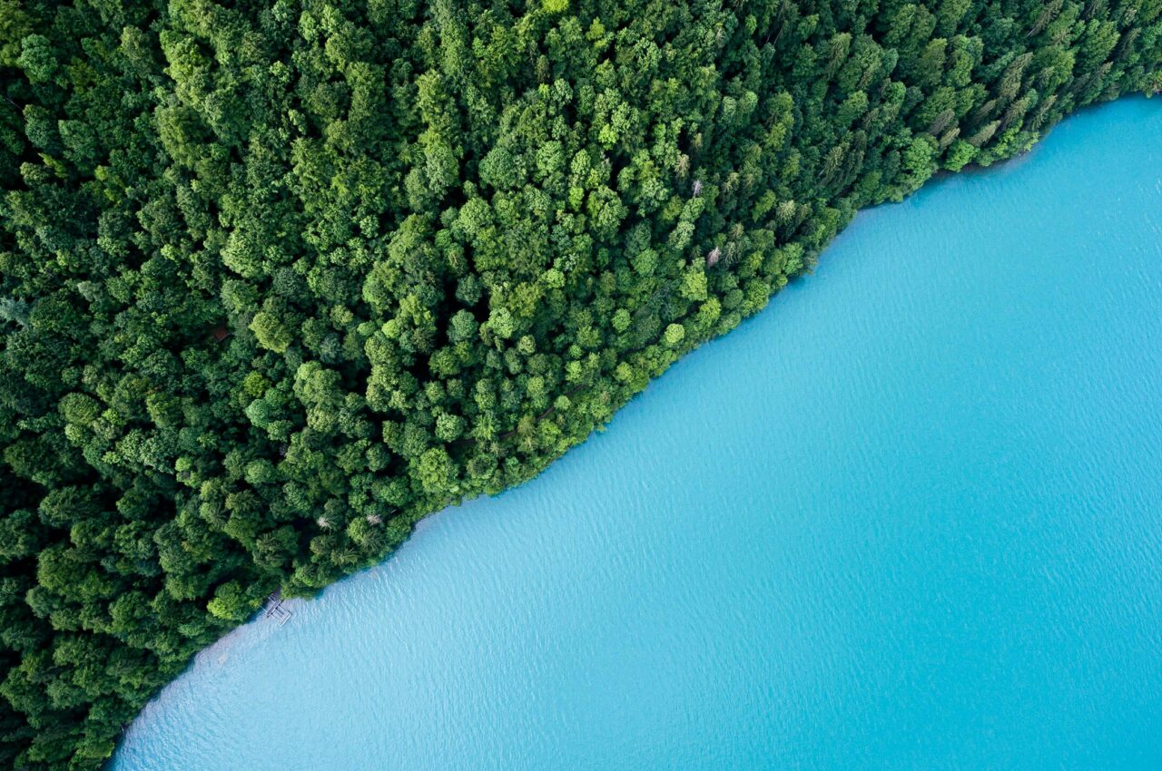 Aerial view of dense green forest meeting bright blue lake