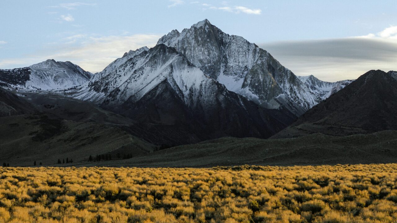 Mountain landscape with snow-capped peaks and grass field